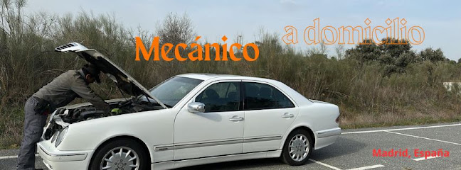 Mecánico a domicilio