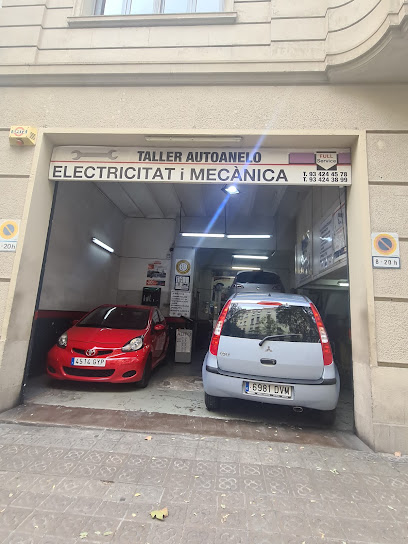 Taller Autoanelo