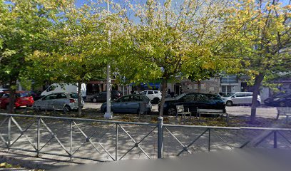 Desguaces De Coches
