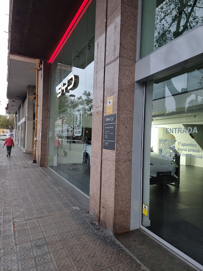 QUADIS Dream Concessionari Oficial BYD - Barcelona