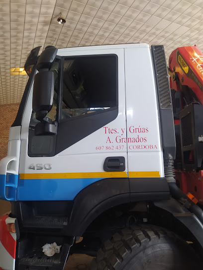 TTES. y Grúas A. Granados