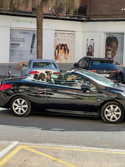 GM.RentaCar