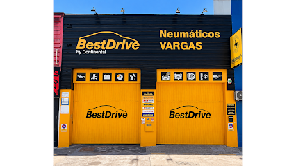 Neumáticos Vargas