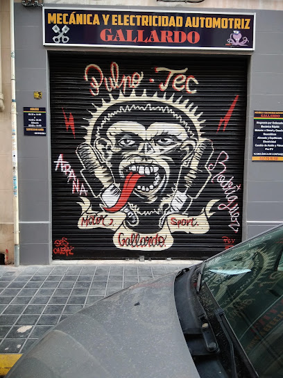 Talleres Gallardo