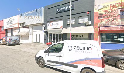 Cecilio Automoción - Málaga