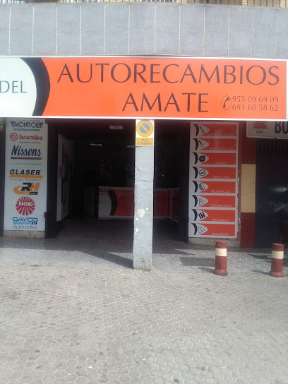 Andel Autorecambios Amate