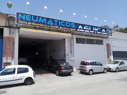 Neumáticos Aguicar
