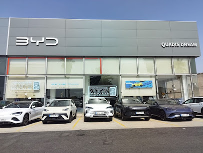 BYD QUADIS Dream - Valencia