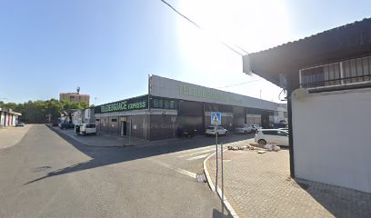 Teledesguace Express