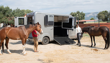 Rentvanshorses