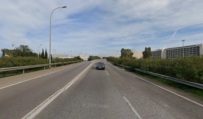 Street Rent a Car