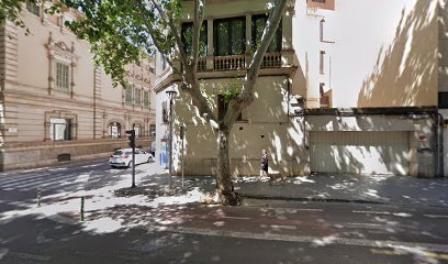 Parche Ràpid