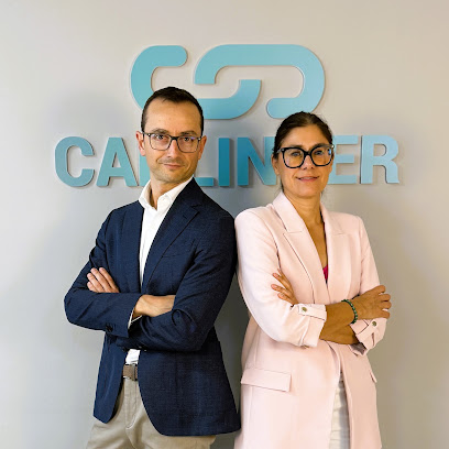 Carlinker