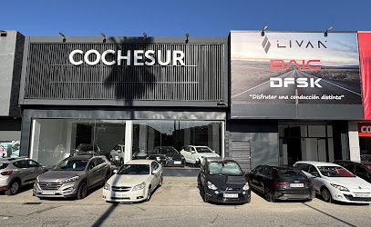 Concesionario Oficial BAIC - Cochesur Su Eminencia