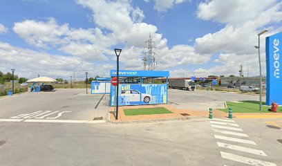 Lavado Manual