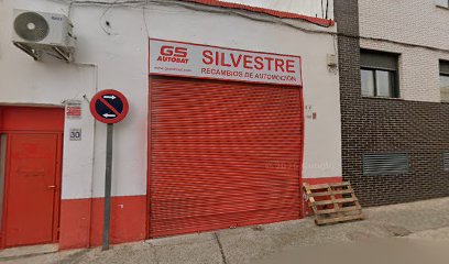 Gs Autobat - Silvestre
