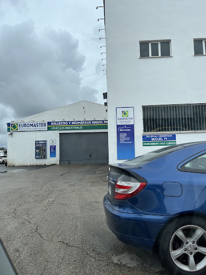 Michelin El Especialista del Neumático