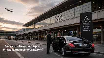 Private Car Service Barcelona Driver